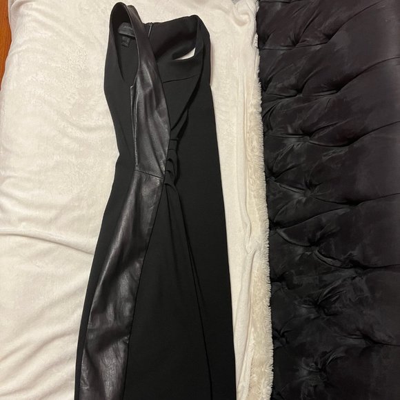 Gorgeous Danier "Betty" fabric and leather dress - Picture 5 of 7